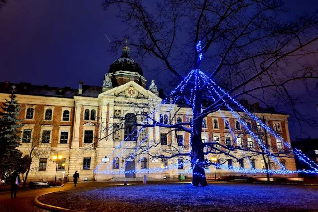 Krakow Ekonomi Üniversitesi 