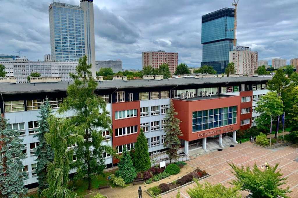 Silesia Üniversitesi 